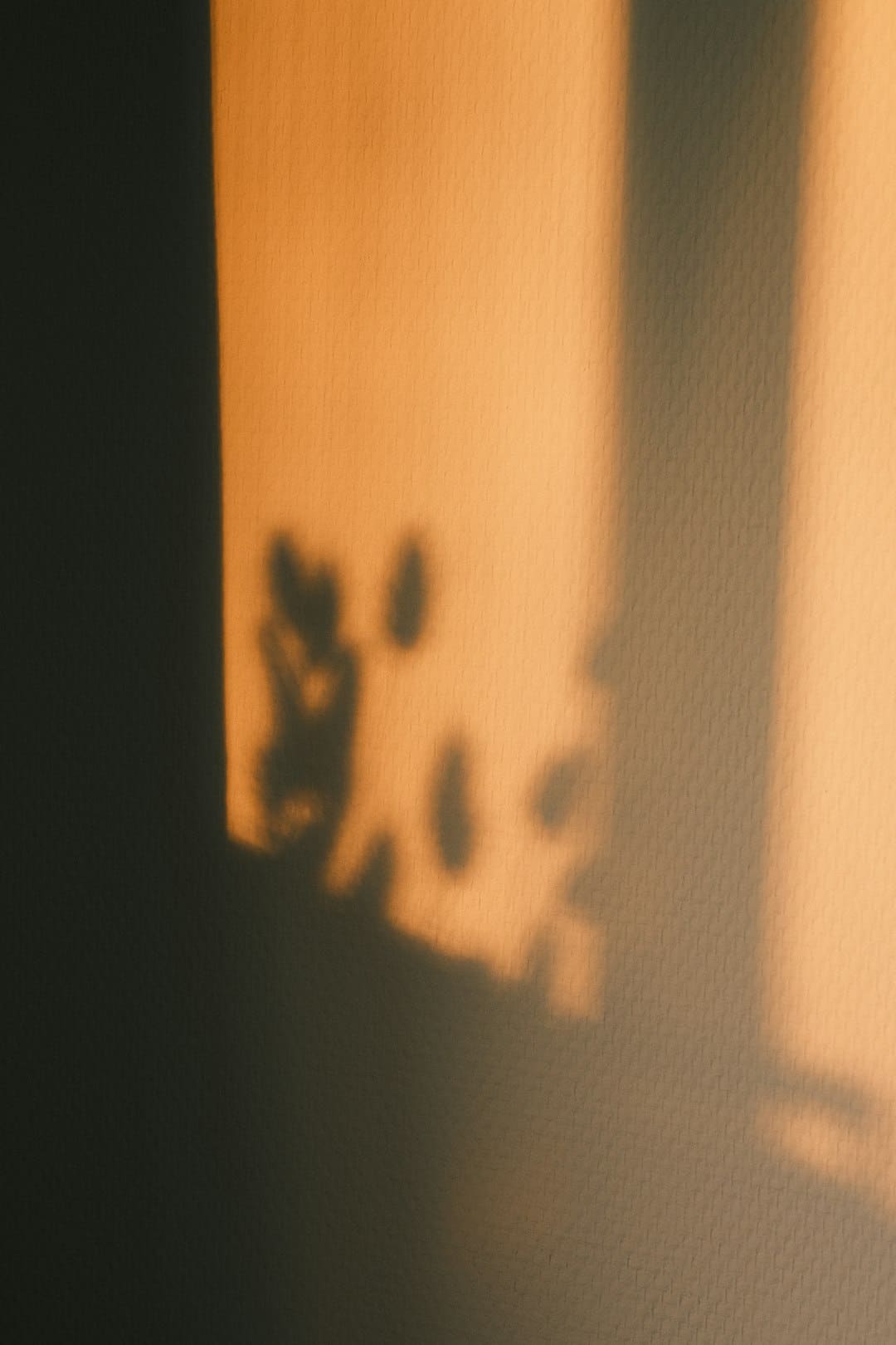 王晓晨泳装写真冷艳吗？展示曼妙身段与自傲魅力